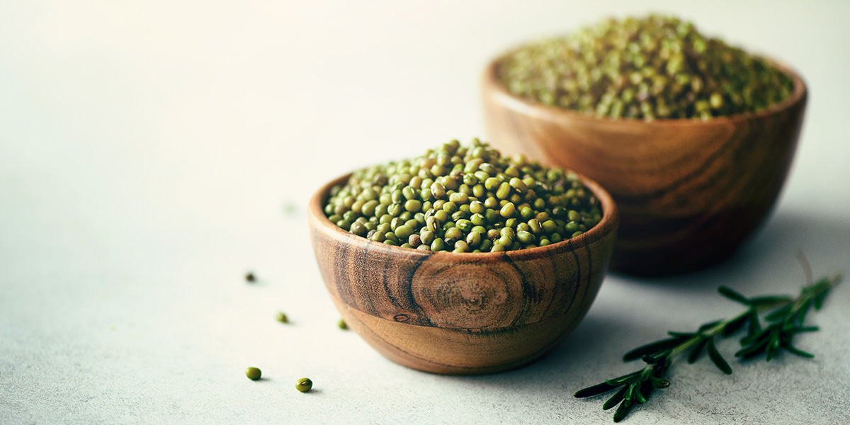 In quali alimenti possiamo trovare i benefici della soia? In quali alimenti possiamo trovare i benefici della soia?