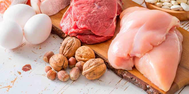 Dieta Ricca di Proteine non danneggia i reni Dieta Ricca di Proteine non danneggia i reni