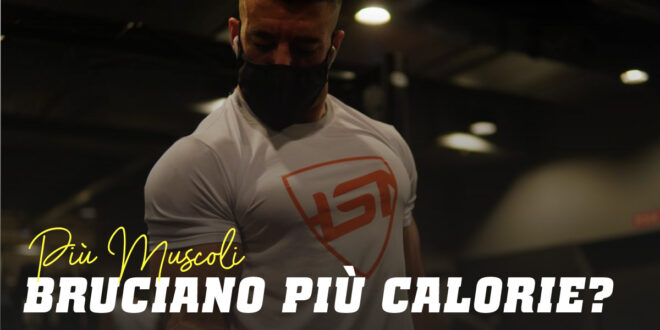 Più Muscoli Bruciano Più Calorie?