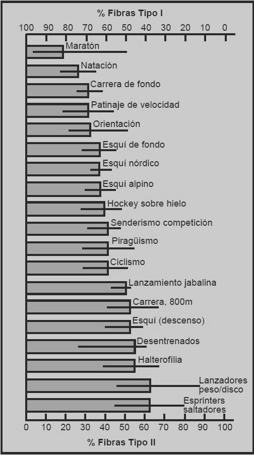 tipo-fibre