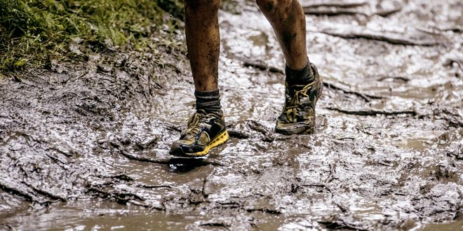 Abbigliamento per trail running Abbigliamento per trail running