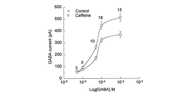 grafico-gaba-caffeina grafico-gaba-caffeina