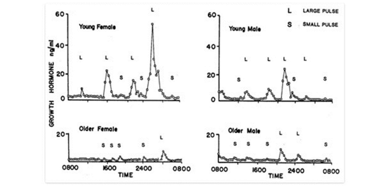 schema cicli 24 g hgh schema cicli 24 g hgh