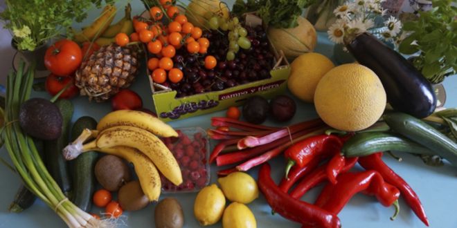 alimenti salutari alimenti salutari