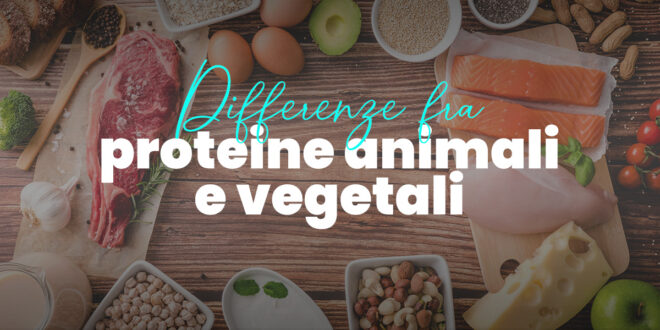 Quali sono le differenze tra proteine animali e vegetali?