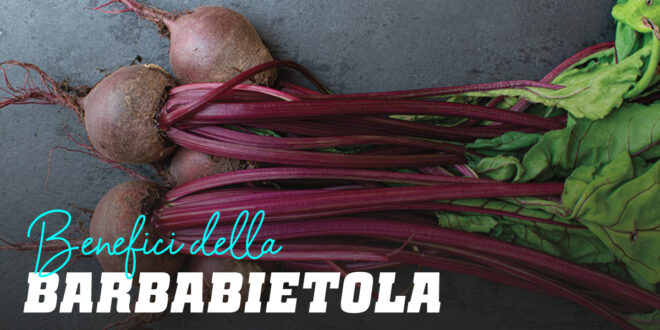 Benefici della Barbabietola