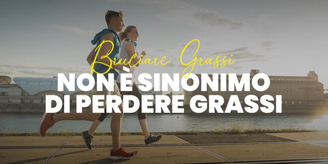 Bruciare Grassi non equivale a Perdere Grassi Bruciare Grassi non equivale a Perdere Grassi