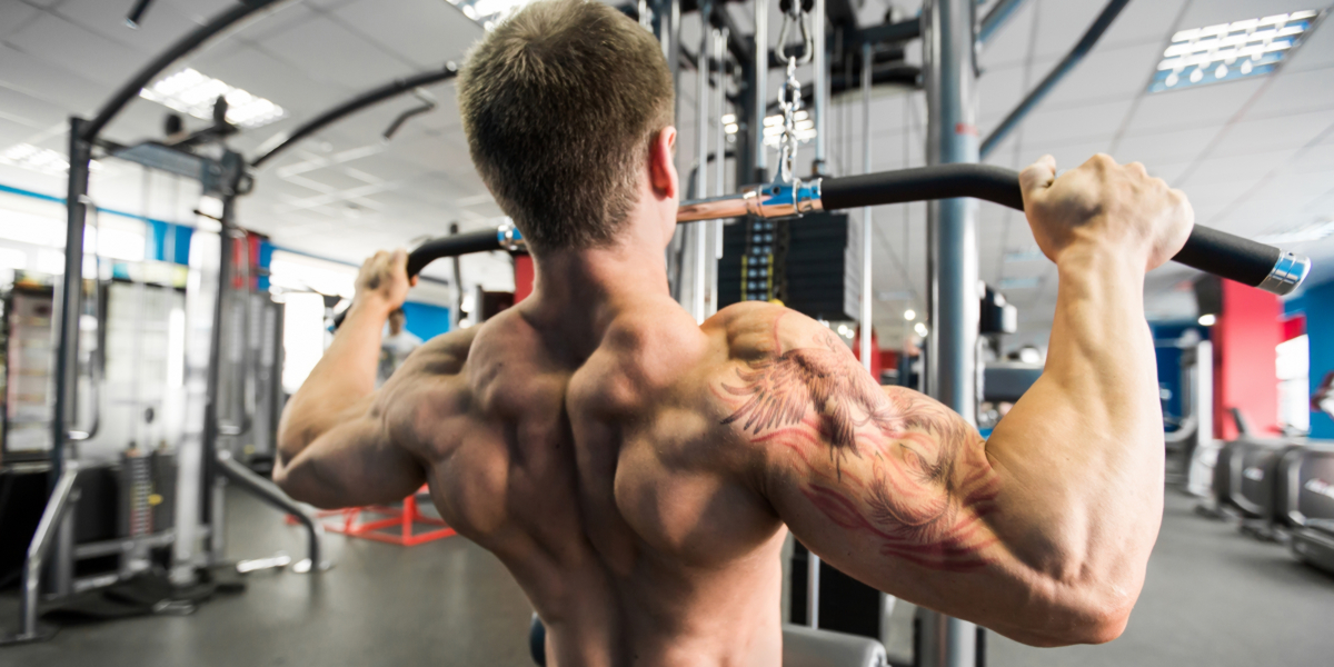 Su che muscoli lavora la trazione al petto? Su che muscoli lavora la trazione al petto?