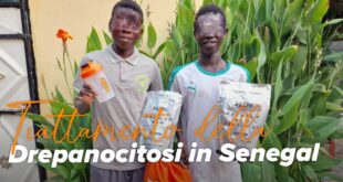 Collaborazione Drepanocitosi Senegal