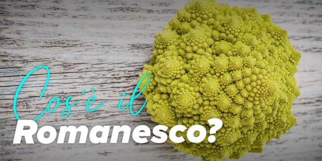 Romanesco: cos’è, proprietà e come si mangia Romanesco: cos’è, proprietà e come si mangia