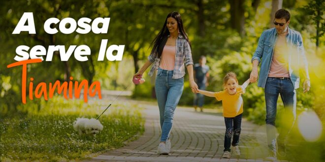 Tiamina: benefici, alimenti e integratori Tiamina: benefici, alimenti e integratori