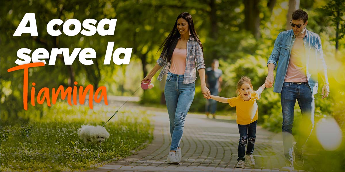 Tiamina: benefici, alimenti e integratori