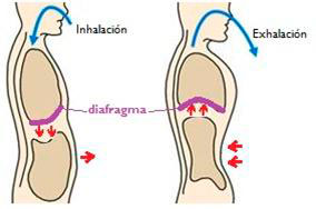 diaframma diaframma