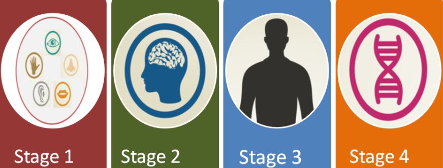 Risposta allo stress