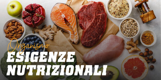 Fabbisogni Nutrizionali dell’Organismo