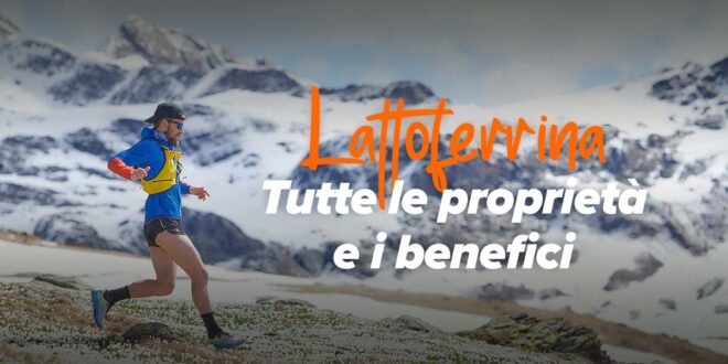 Benefici della Lattoferrina comprovati da studi scientifici Benefici della Lattoferrina comprovati da studi scientifici