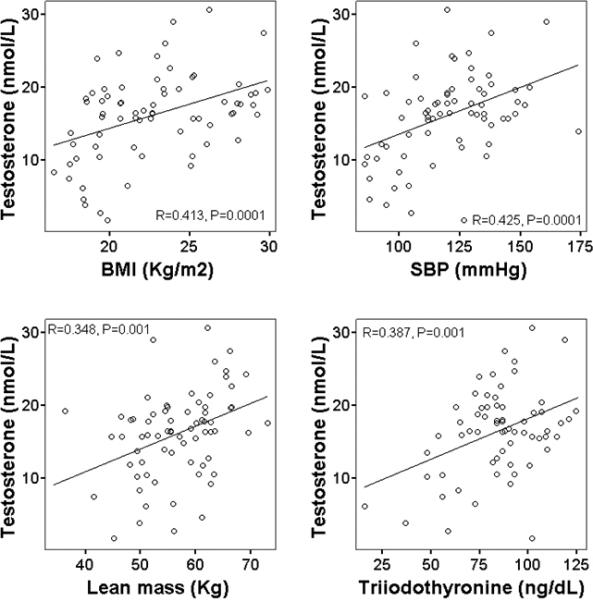 testosterone-libero-vs-cortisolo