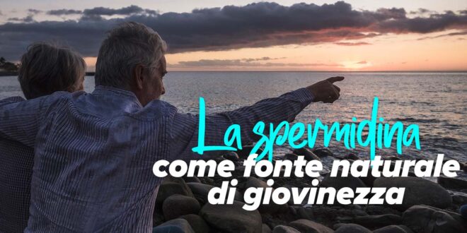 La spermidina come fonte naturale della giovinezza La spermidina come fonte naturale della giovinezza