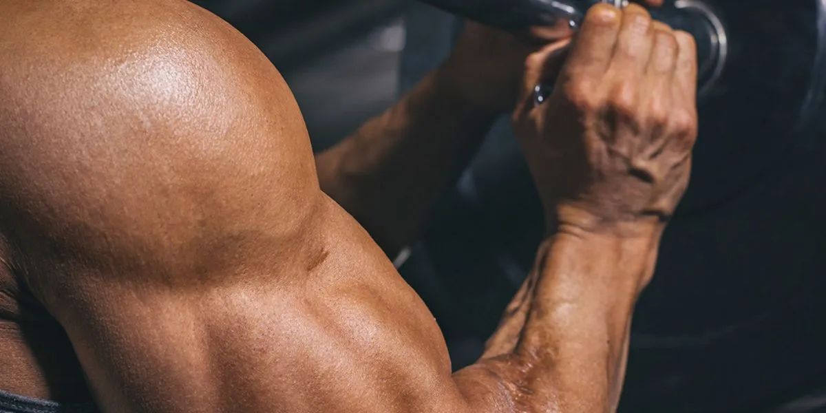 Entrenamiento estres