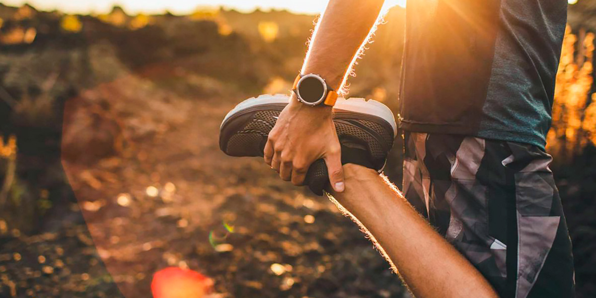 Esercizio Cardiovascolare Esercizio Cardiovascolare