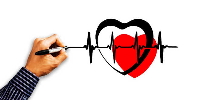 Frequenza cardiaca con allenamento o senza allenamento Frequenza cardiaca con allenamento o senza allenamento