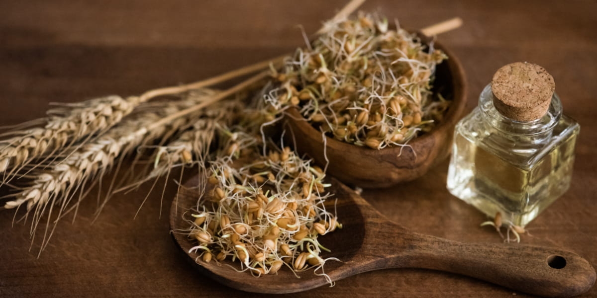 Spermidina e Germe di Frumento Spermidina e Germe di Frumento