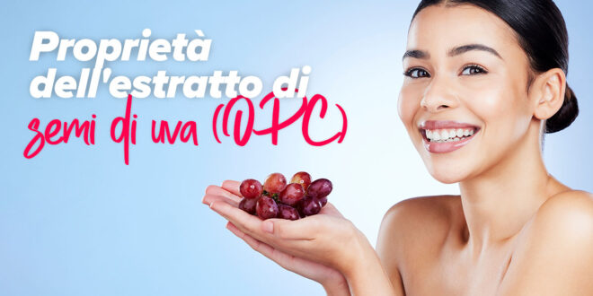 Scopri tutte le proprietà e gli usi dell’estratto di uva (OPC) Scopri tutte le proprietà e gli usi dell’estratto di uva (OPC)