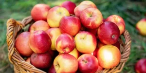 Proprietà e benefici dell'aceto di sidro di mele per la tua salute