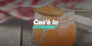 Cosa sono le carragenine?