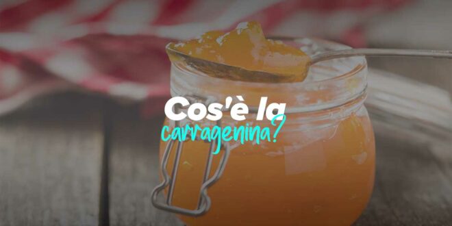 Cosa sono le carragenine? Cosa sono le carragenine?