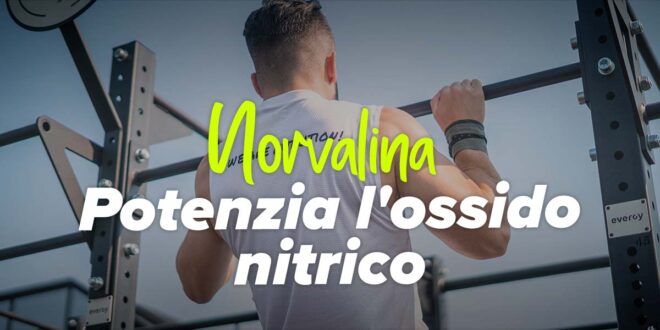 Norvalina: potenziatore dell’ossido nitrico