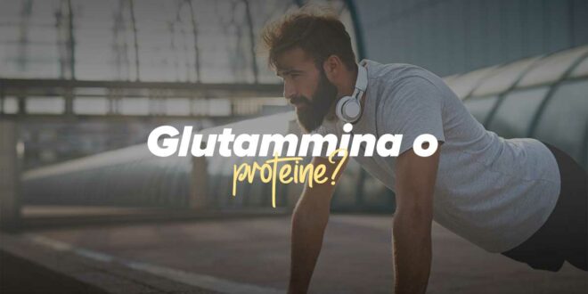 È meglio assumere glutammina o proteine, in base ai tuoi obiettivi? È meglio assumere glutammina o proteine, in base ai tuoi obiettivi?