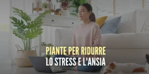 piante-per-ridurre-lo-stress