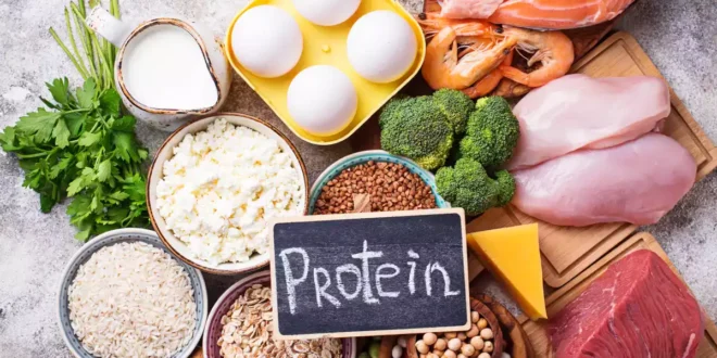 Qual è la quantità ottimale di proteine per aumentare i muscoli? Qual è la quantità ottimale di proteine per aumentare i muscoli?