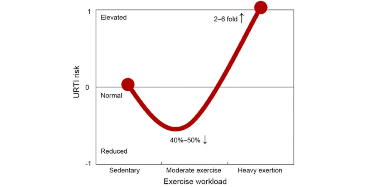 Grafico 2 Grafico 2