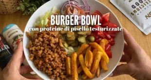 Burger Bowl