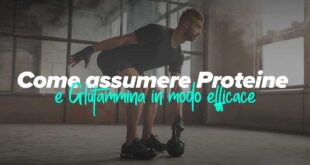 assumere-con-proteine