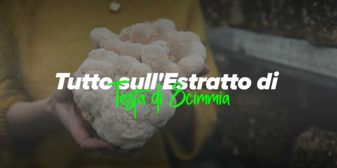 Benefici e proprietà del fungo Criniera di Leone Benefici e proprietà del fungo Criniera di Leone