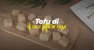 tofu-fatto-in-casa