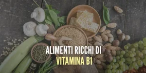 alimenti