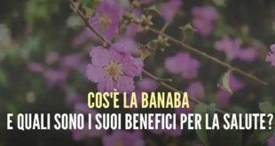 banaba