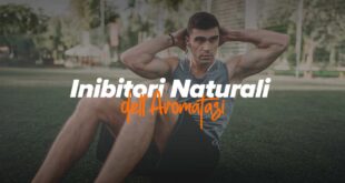 inibitori-naturali-dell-aromatasi