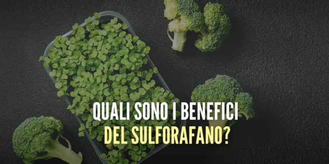 Cos’è il Sulforafano e quali benefici ha per la salute? Cos’è il Sulforafano e quali benefici ha per la salute?