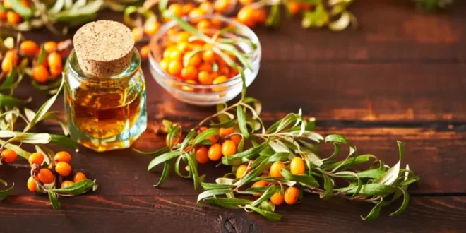 Cos’è l’omega 7 e come può migliorare la tua salute?