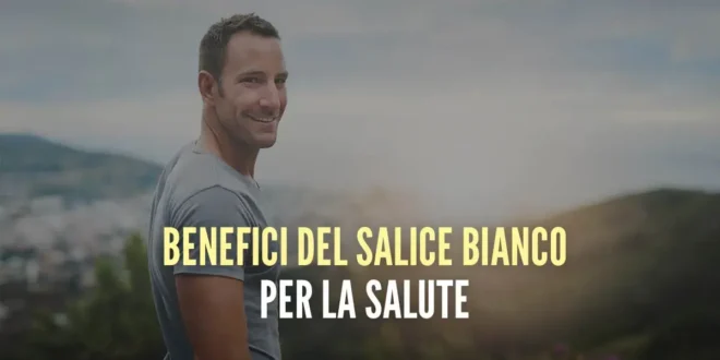 10 Benefici del salice bianco per la salute