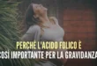 gravidanza