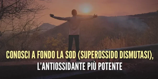 Superossido Dismutasi (SOD): L’antiossidante più potente Superossido Dismutasi (SOD): L’antiossidante più potente