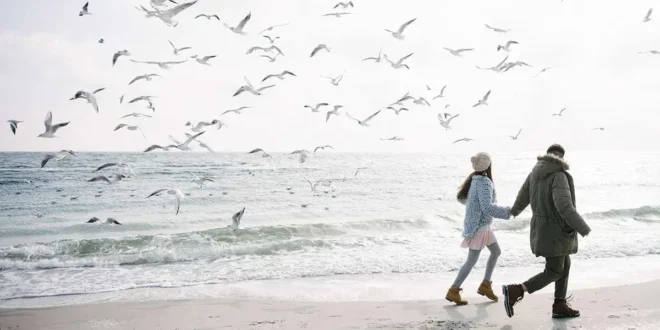 Cosa sai sui 9 sorprendenti benefici dell’olio di krill?