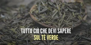 Tè Verde: tutto quello che devi sapere su questo antiossidante