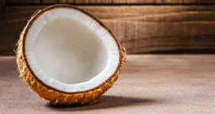 Cocco: proprietà, benefici e valore nutrizionale di un superalimento naturale